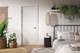 White-Primed-Santandor-2.jpeg White-Primed-Santandor-2.jpeg
